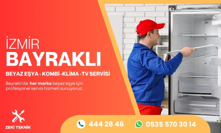 Bayraklı Electrolux Servisi